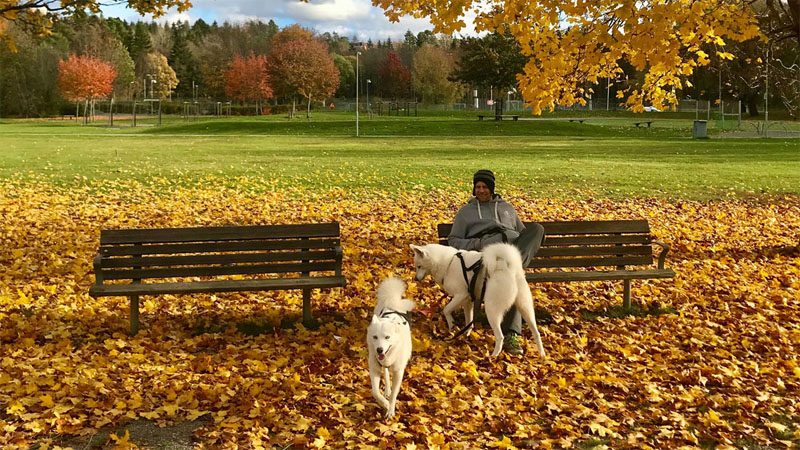 Apollo and Yuki 2019